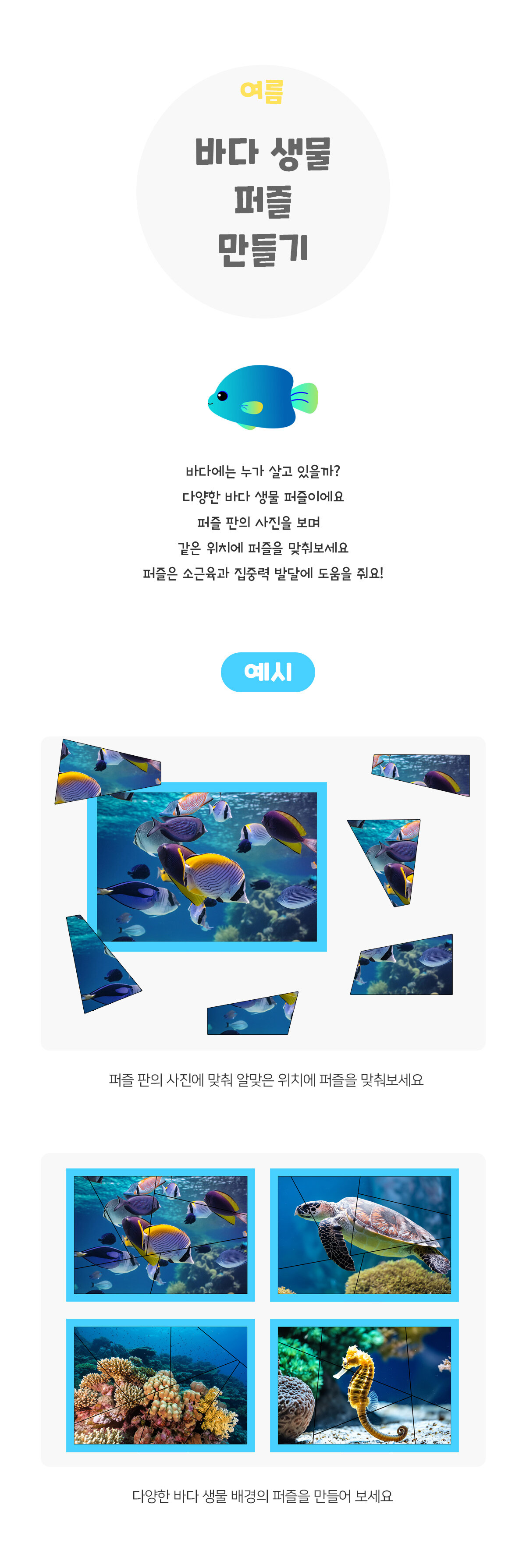 여름바다생물퍼즐만들기 여름바다생물퍼즐만들기
