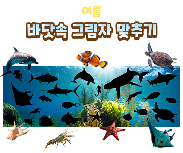 바닷속그림자맞추기 바닷속그림자맞추기