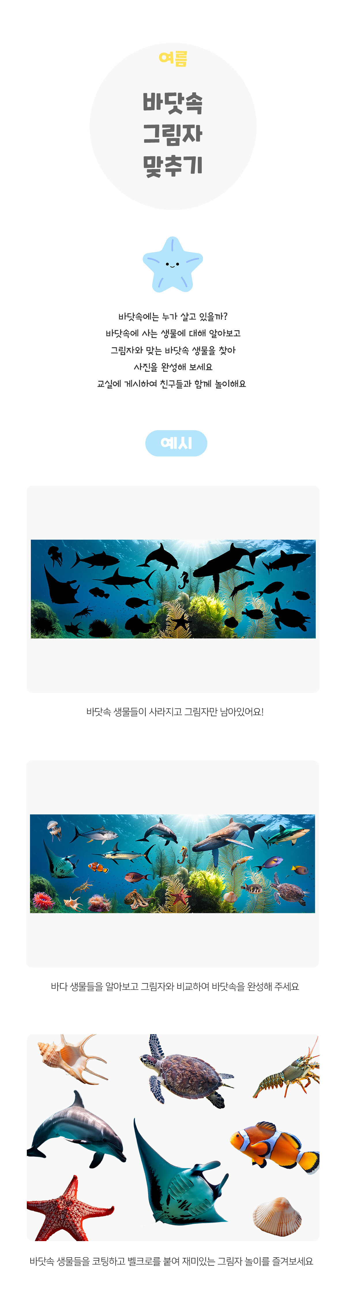 바닷속그림자맞추기 바닷속그림자맞추기