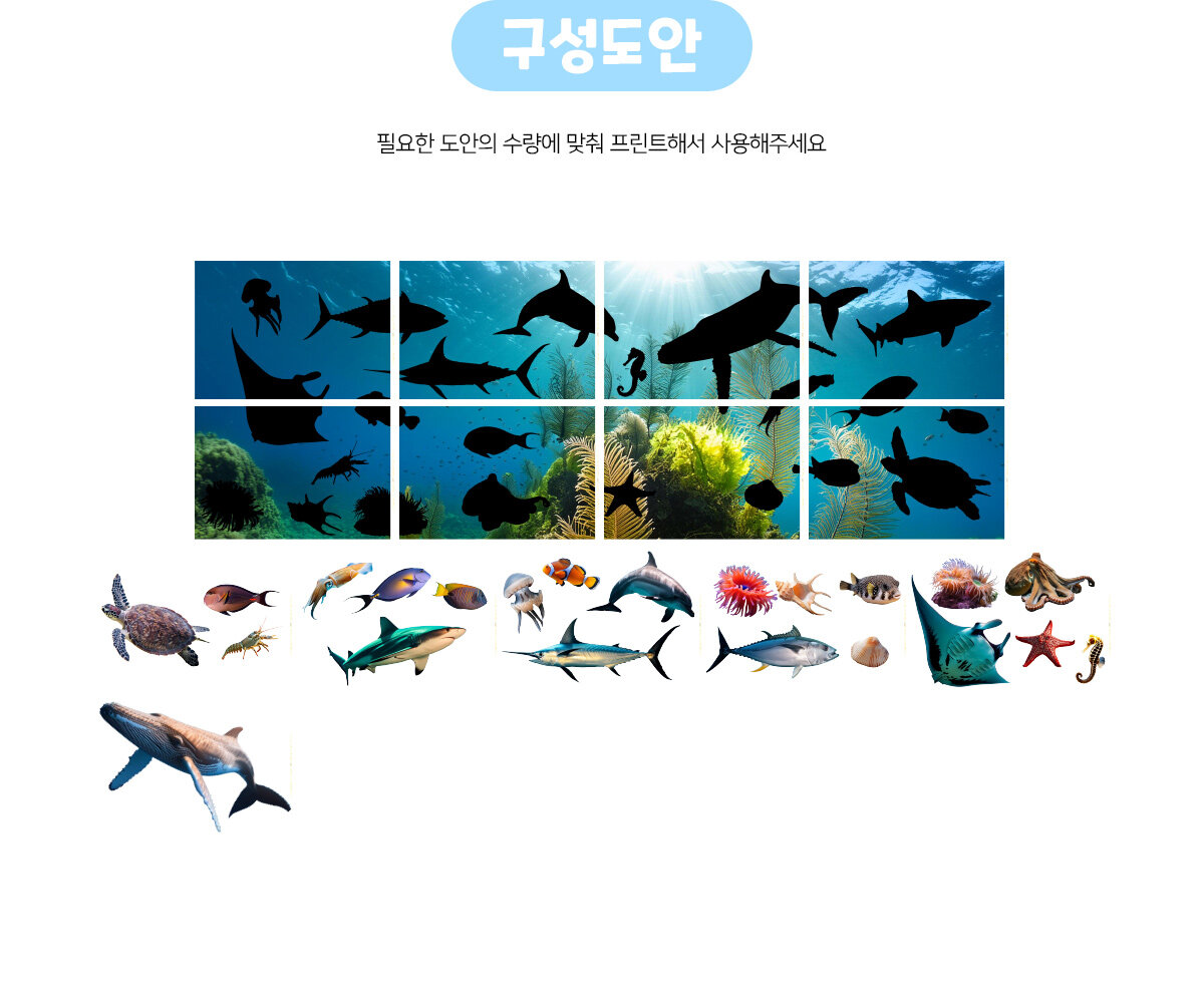 바닷속그림자맞추기 바닷속그림자맞추기