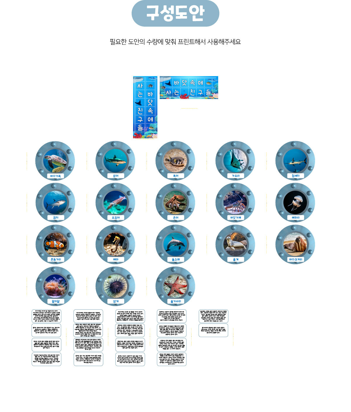 바닷속에사는친구들환경구성
