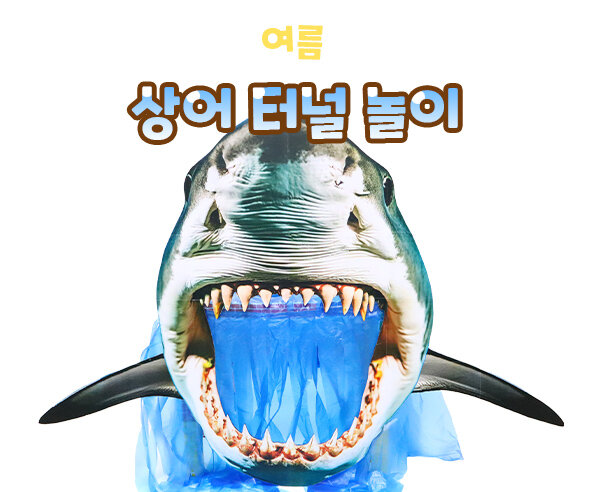 상어터널놀이 상어터널놀이