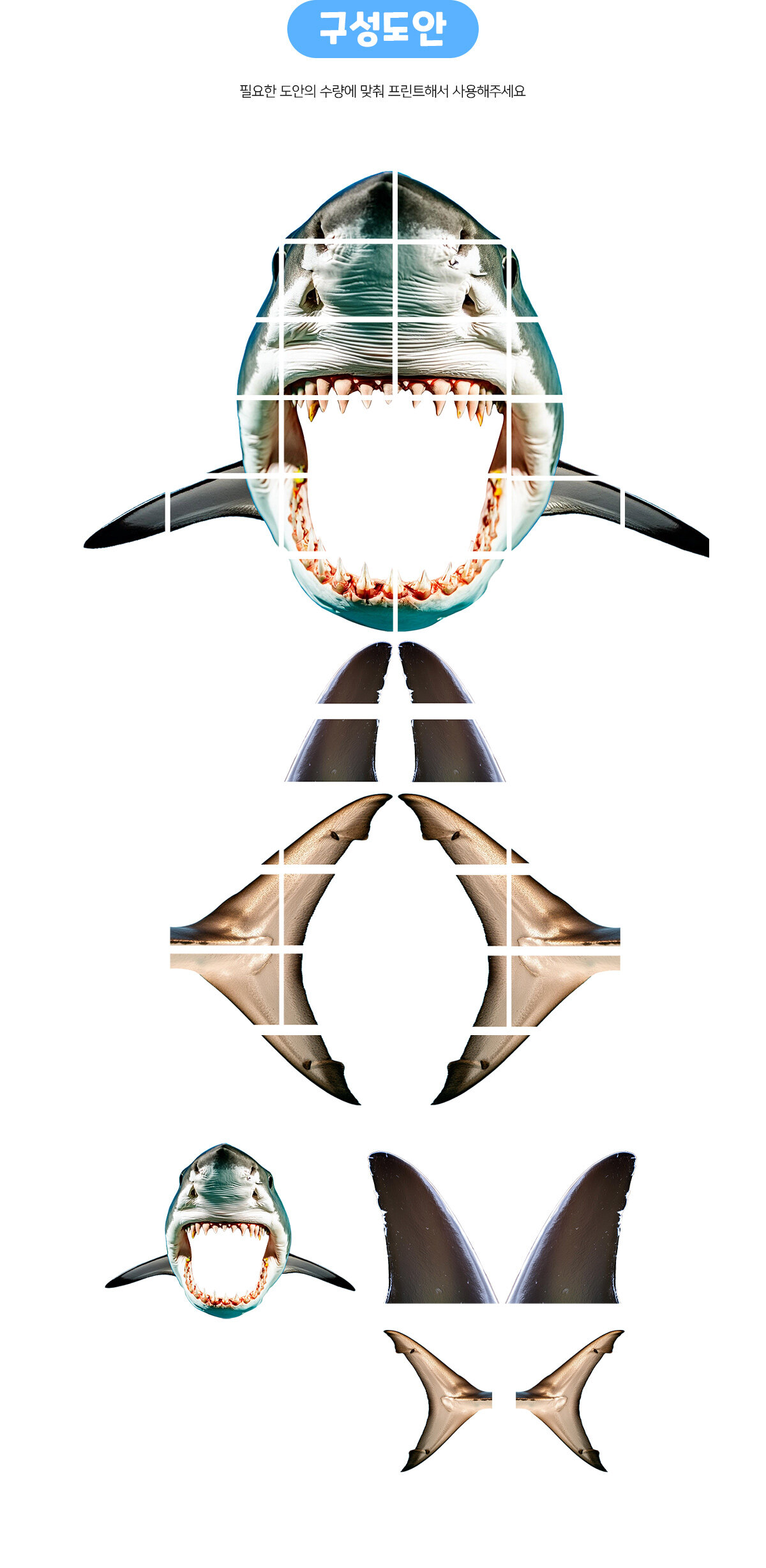 상어터널놀이 상어터널놀이