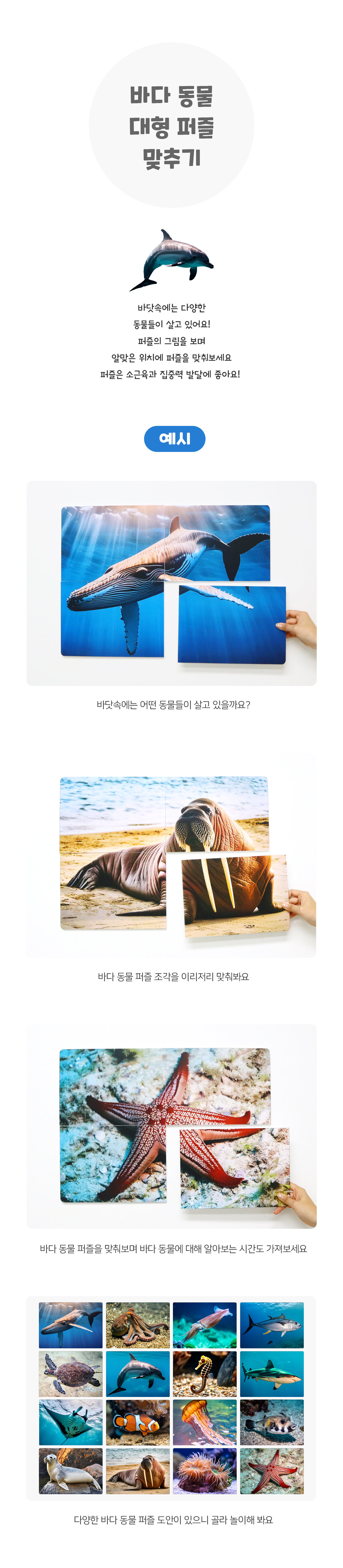 바다동물대형퍼즐맞추기 바다동물대형퍼즐맞추기