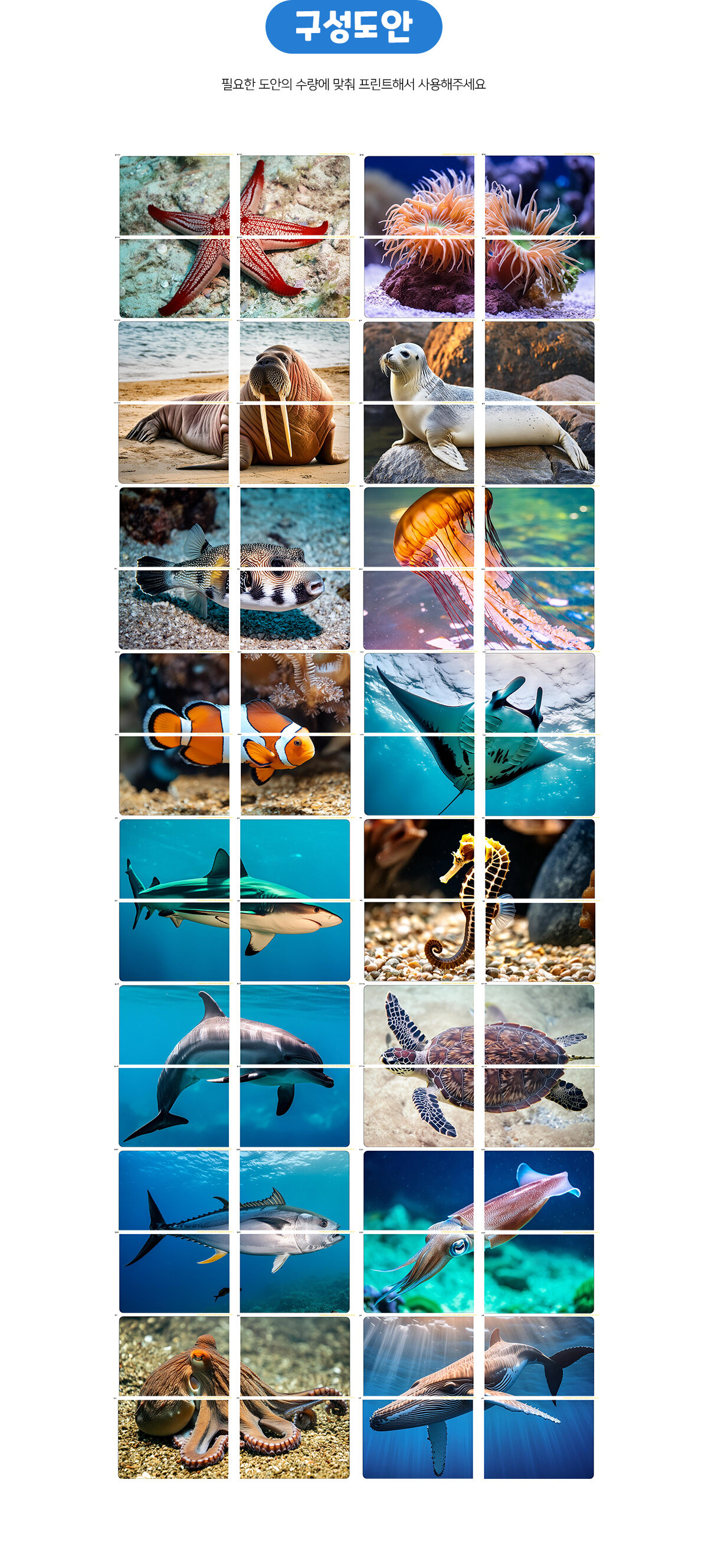 바다동물대형퍼즐맞추기 바다동물대형퍼즐맞추기