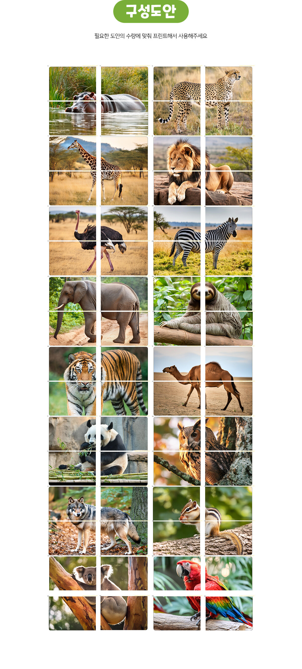 육지동물대형퍼즐맞추기 육지동물대형퍼즐맞추기