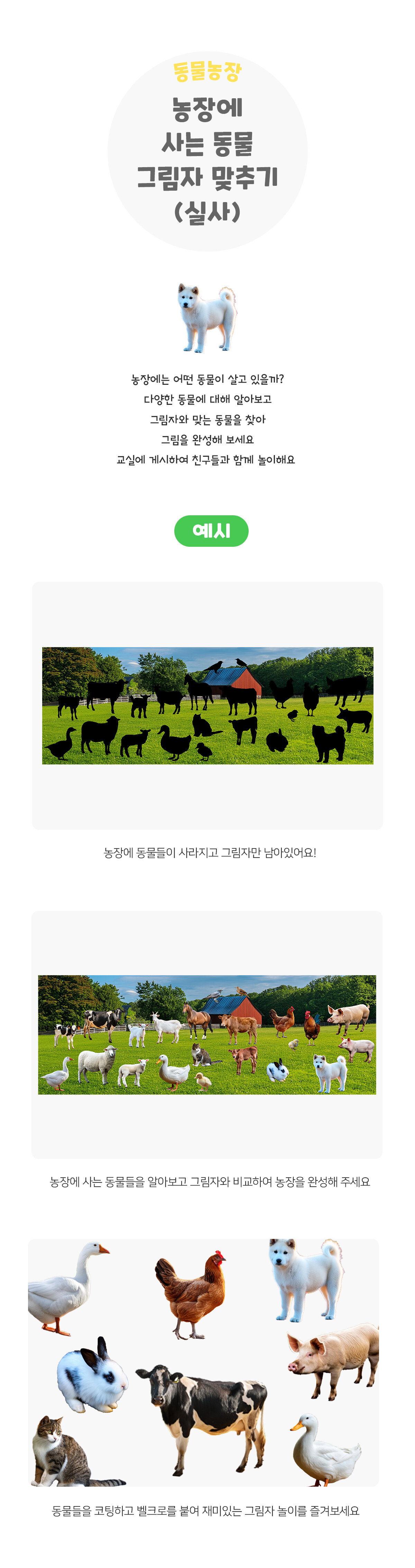 농장에사는동물그림자맞추기(실사)