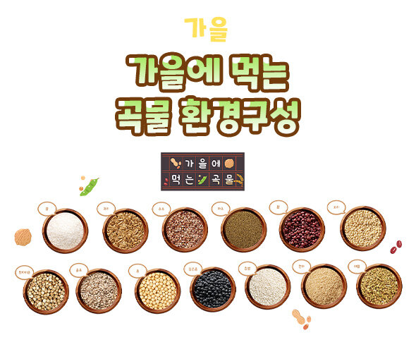 가을에먹는곡물환경구성