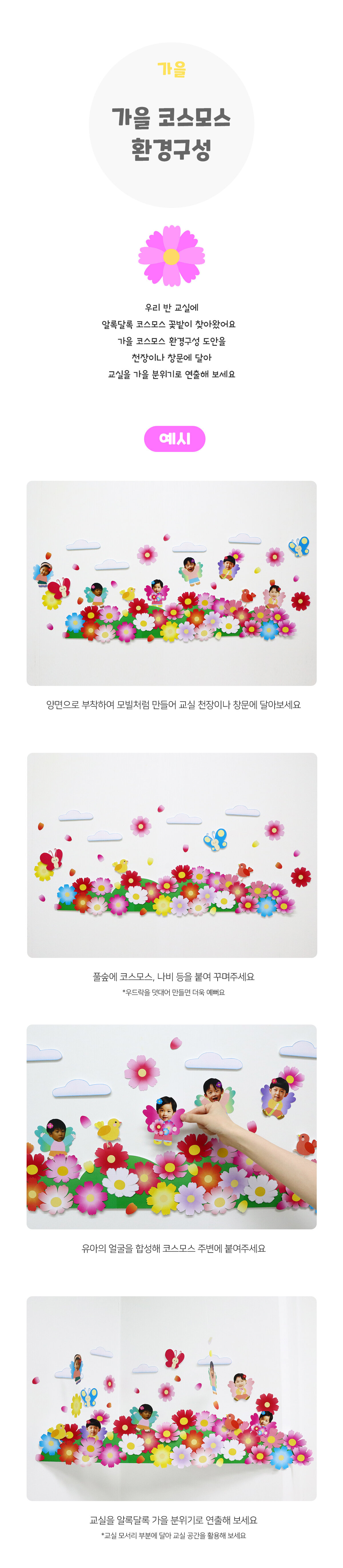 가을코스모스환경구성 가을코스모스환경구성