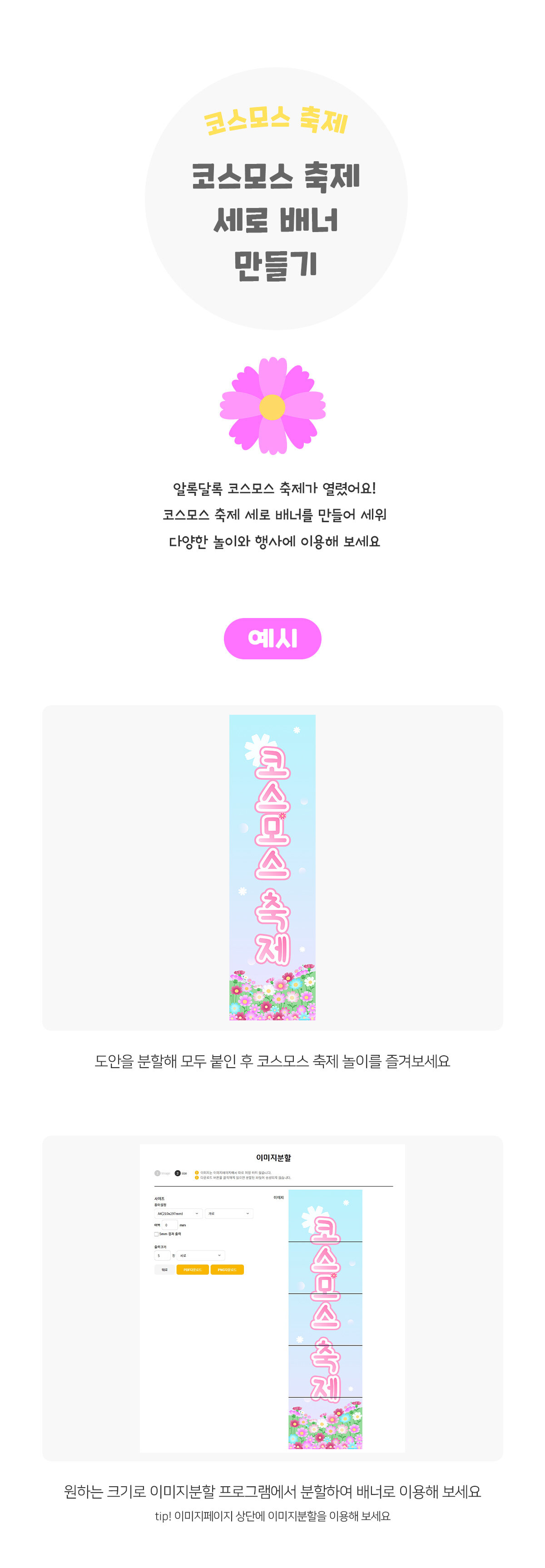 코스모스축제세로배너만들기 코스모스축제세로배너만들기