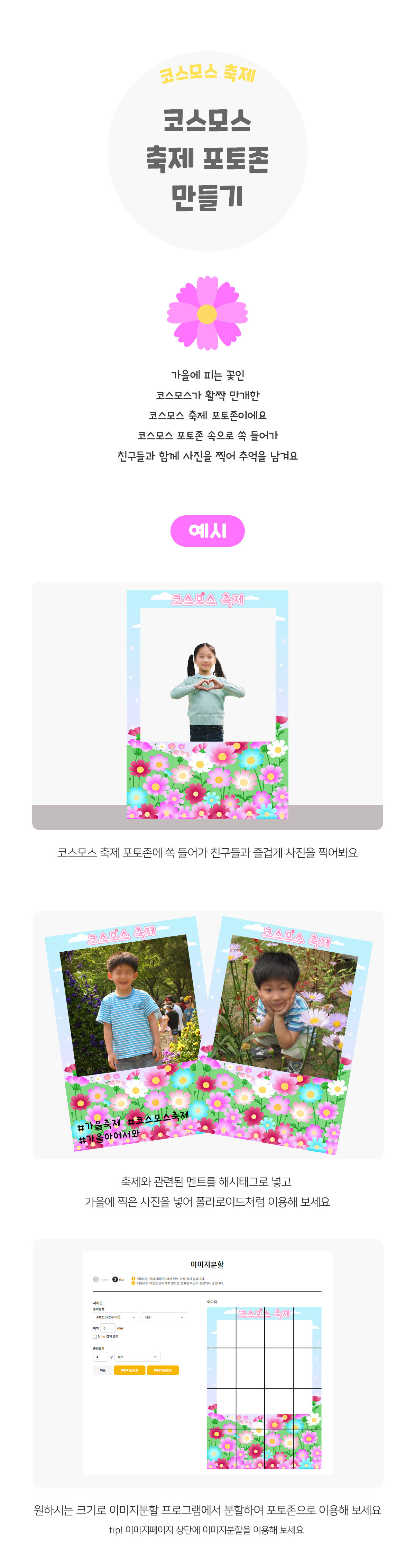 코스모스축제포토존만들기 코스모스축제포토존만들기