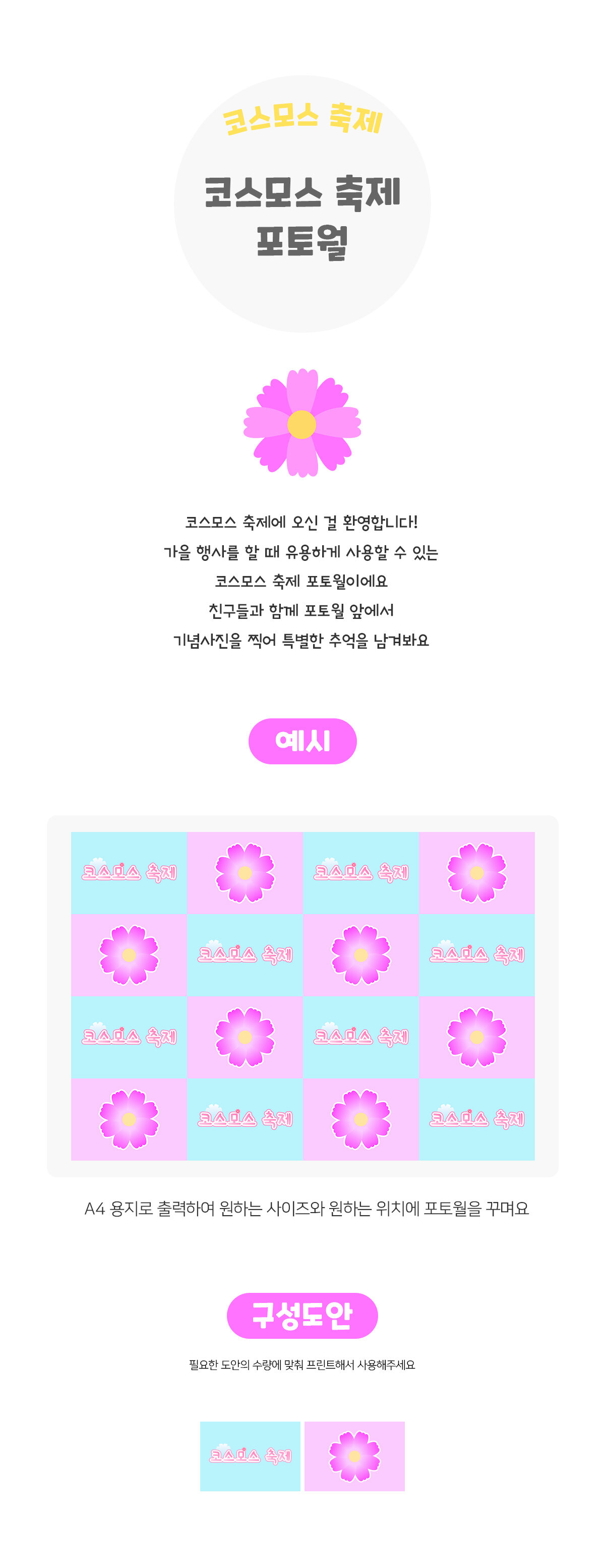 코스모스축제포토월 코스모스축제포토월