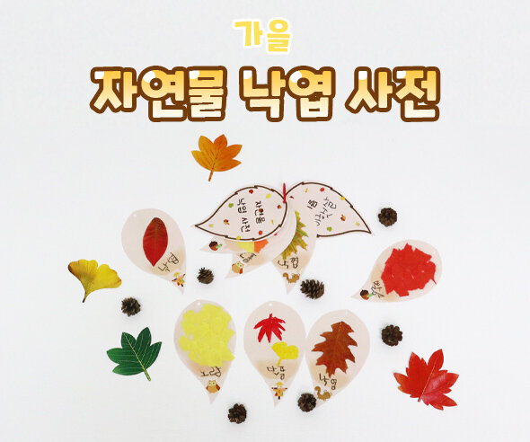 자연물낙엽사전