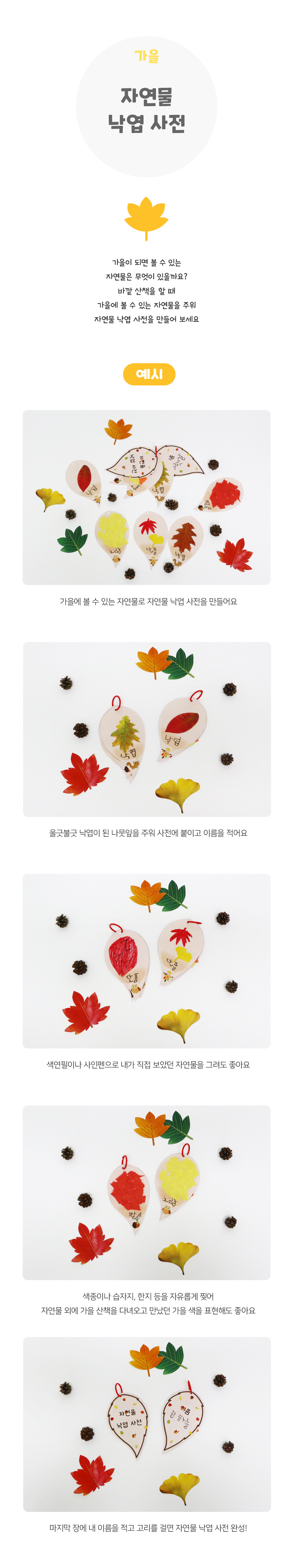 자연물낙엽사전