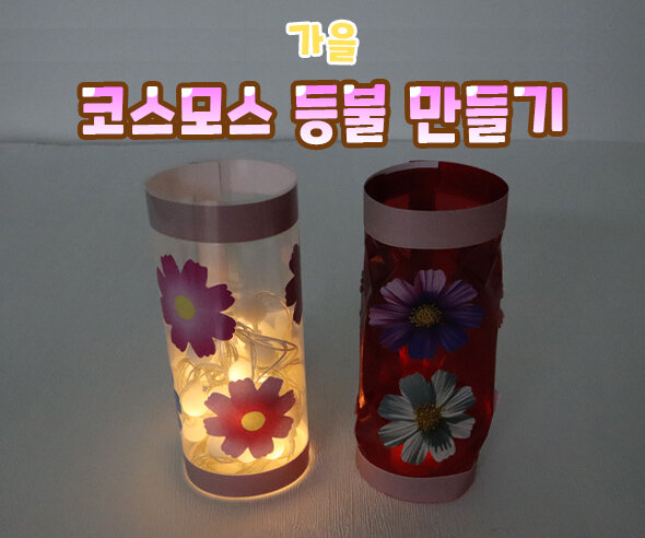 코스모스등불만들기 코스모스등불만들기