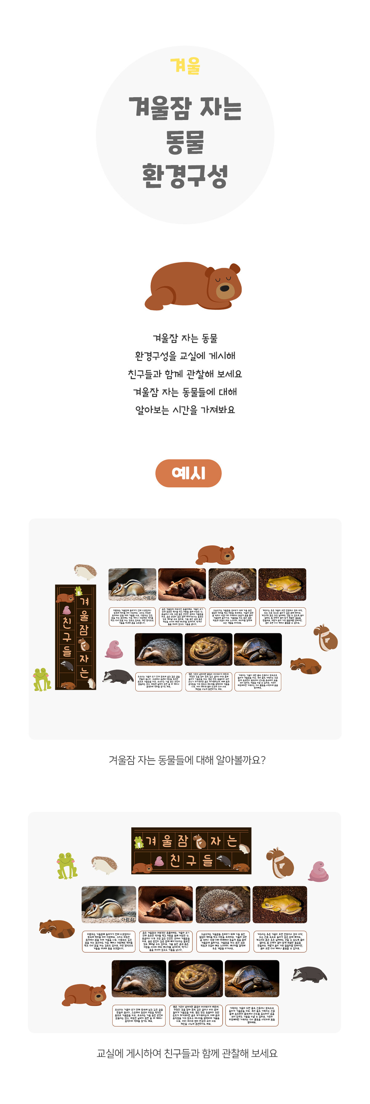 겨울잠자는동물환경구성