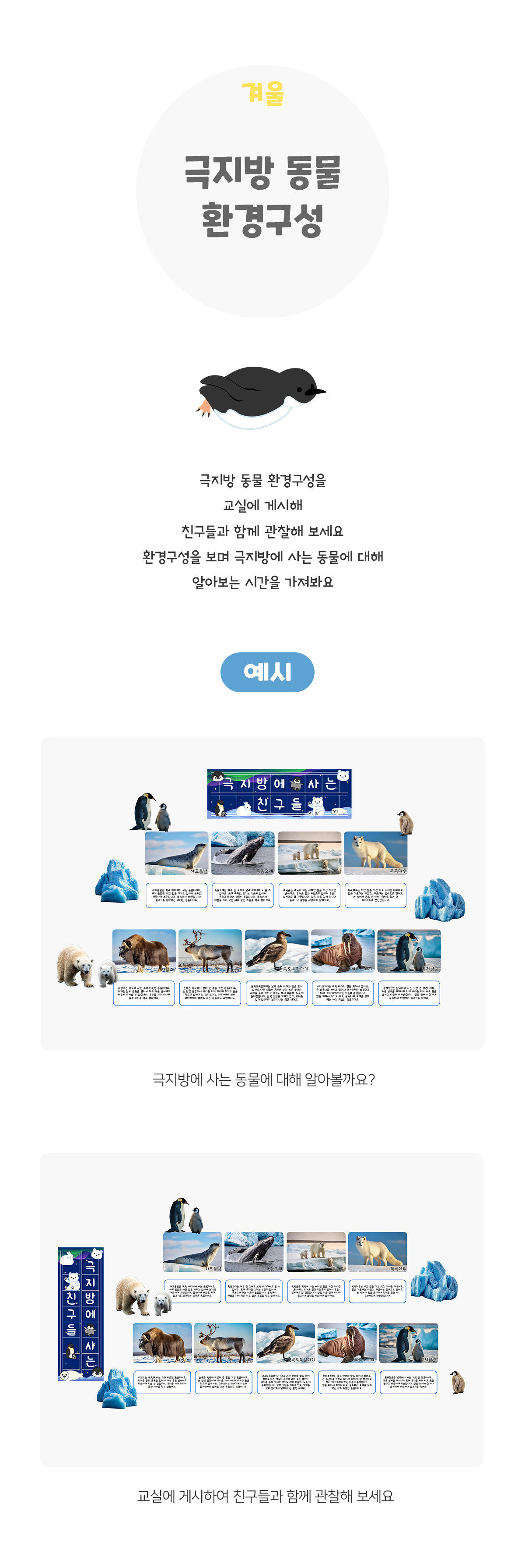 극지방동물환경구성 극지방동물환경구성