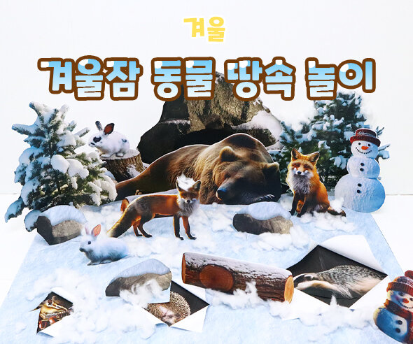 겨울잠동물땅속놀이 겨울잠동물땅속놀이