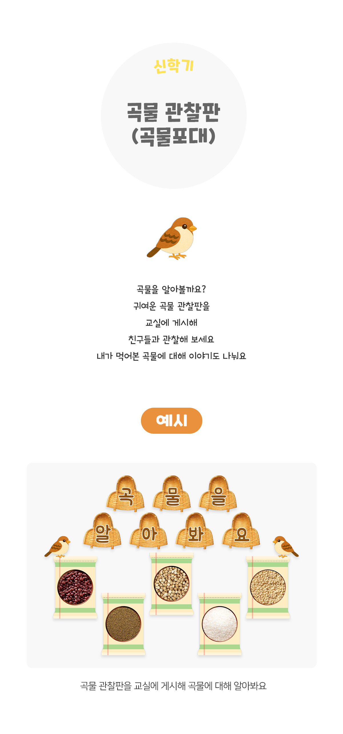 0ae1a046ca851d02c4ccf1253b36b3cd_1769060734_3328.jpg 0ae1a046ca851d02c4ccf1253b36b3cd_1769060734_3328.jpg