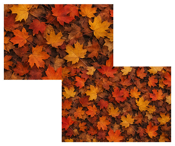 낙엽 바닥 배경