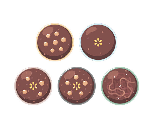 팥죽, 팥칼국수