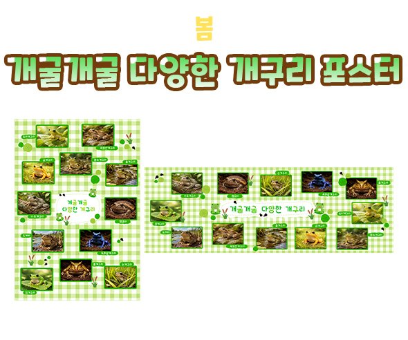 개굴개굴 다양한 개구리 포스터