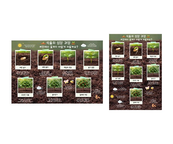 식물 성장 과정 순서도