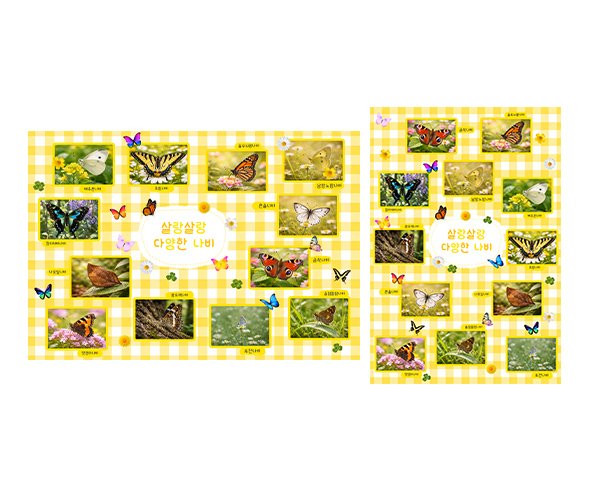 살랑살랑 다양한 나비