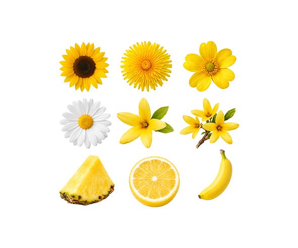 노란색 꽃, 과일