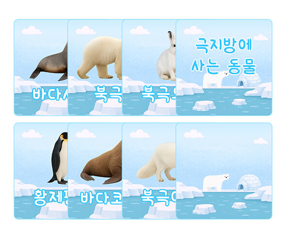 극지방에 사는 동물 카드