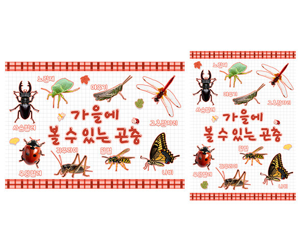 가을에 볼 수 있는 곤충