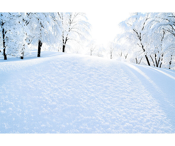 겨울 눈 밭 배경