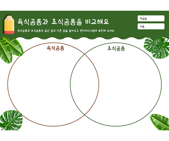 육식공룡과 초식공룡을 비교해요