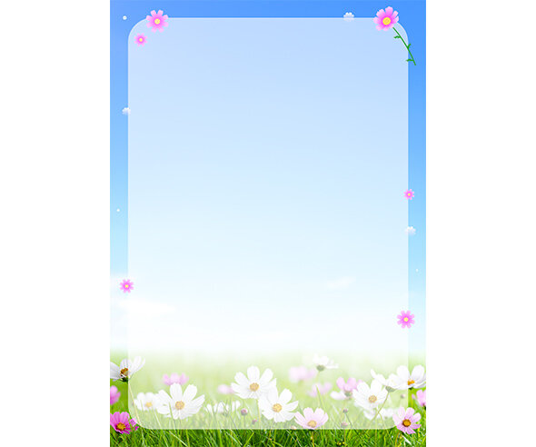 코스모스 테두리