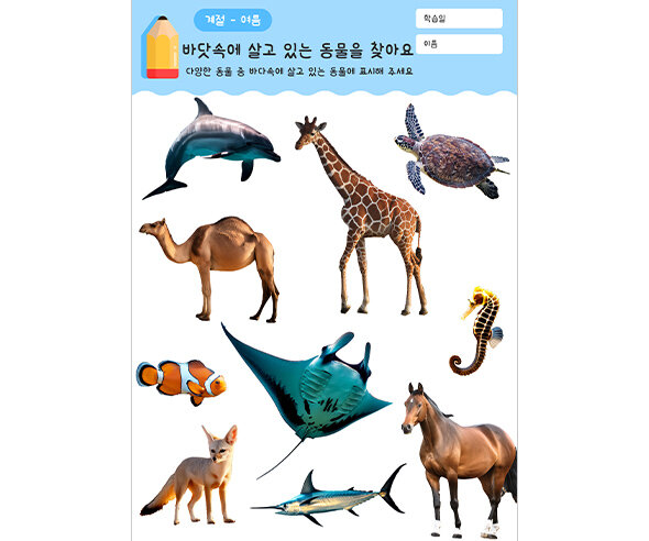바닷속에 살고 있는 동물을 찾아요