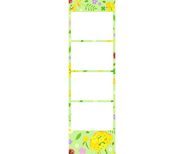 유채꽃 개나리 네컷