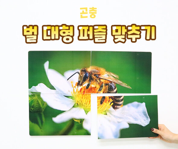 벌 대형 퍼즐 맞추기