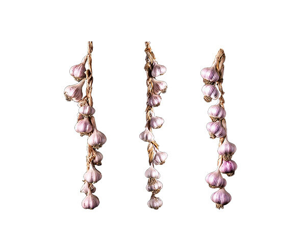 매달린 곡물(마늘)