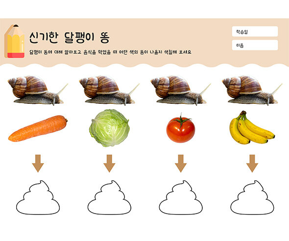 신기한 달팽이 똥