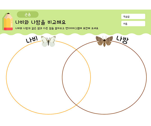 나비와 나방을 비교해요