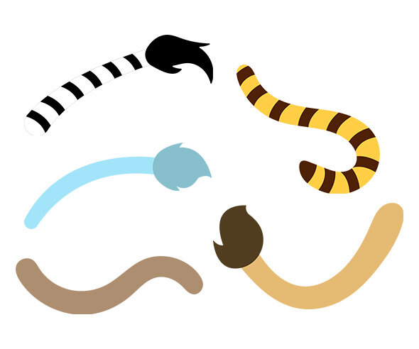 동물 꼬리 모음