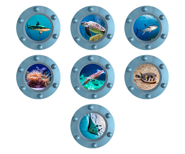 바닷속 잠수함 창문