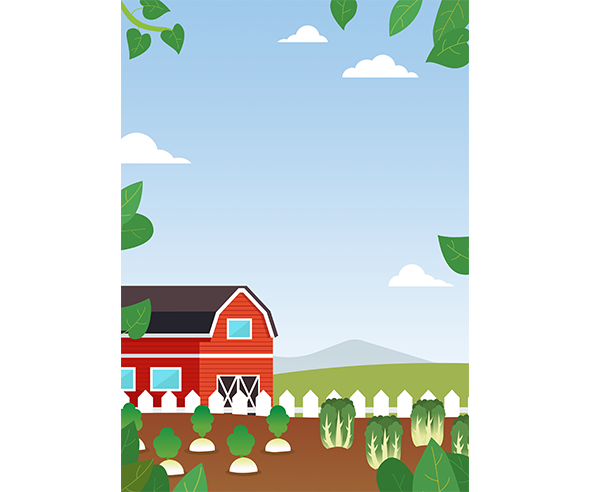 무 배추 텃밭 배경