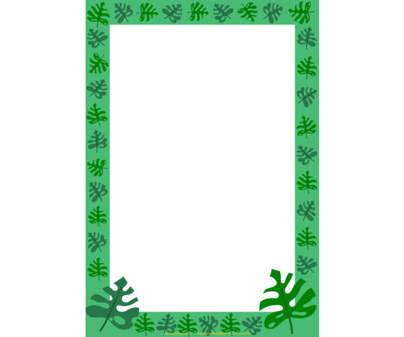 몬스테라 테두리