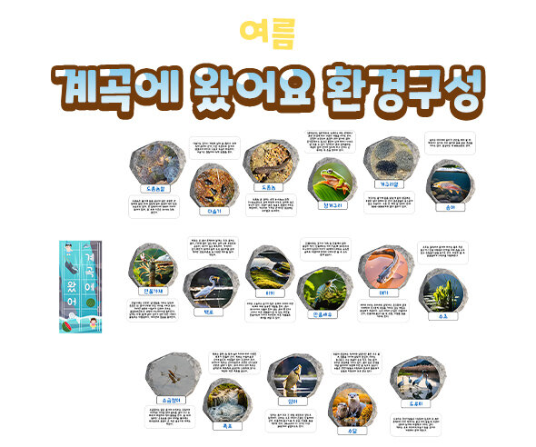 계곡에 왔어요 환경구성