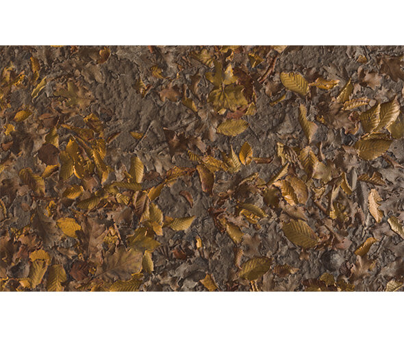 숲속 바닥 배경