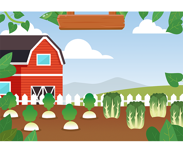 무 배추 텃밭 배경