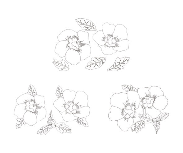 무궁화 색칠 모음