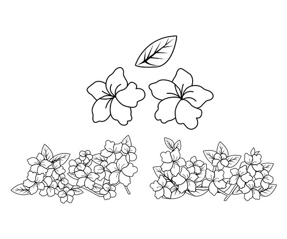 진달래 색칠 모음