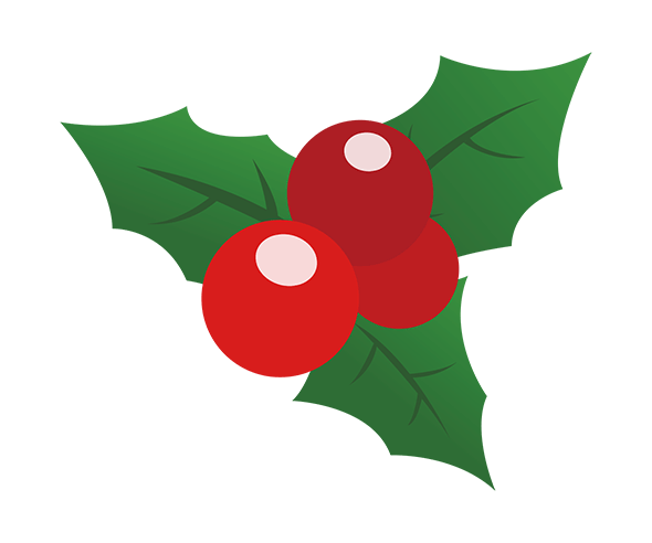 호랑가시나무 열매